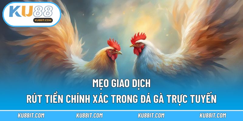 Mẹo giao dịch rút tiền chính xác trong đá gà trực tuyến